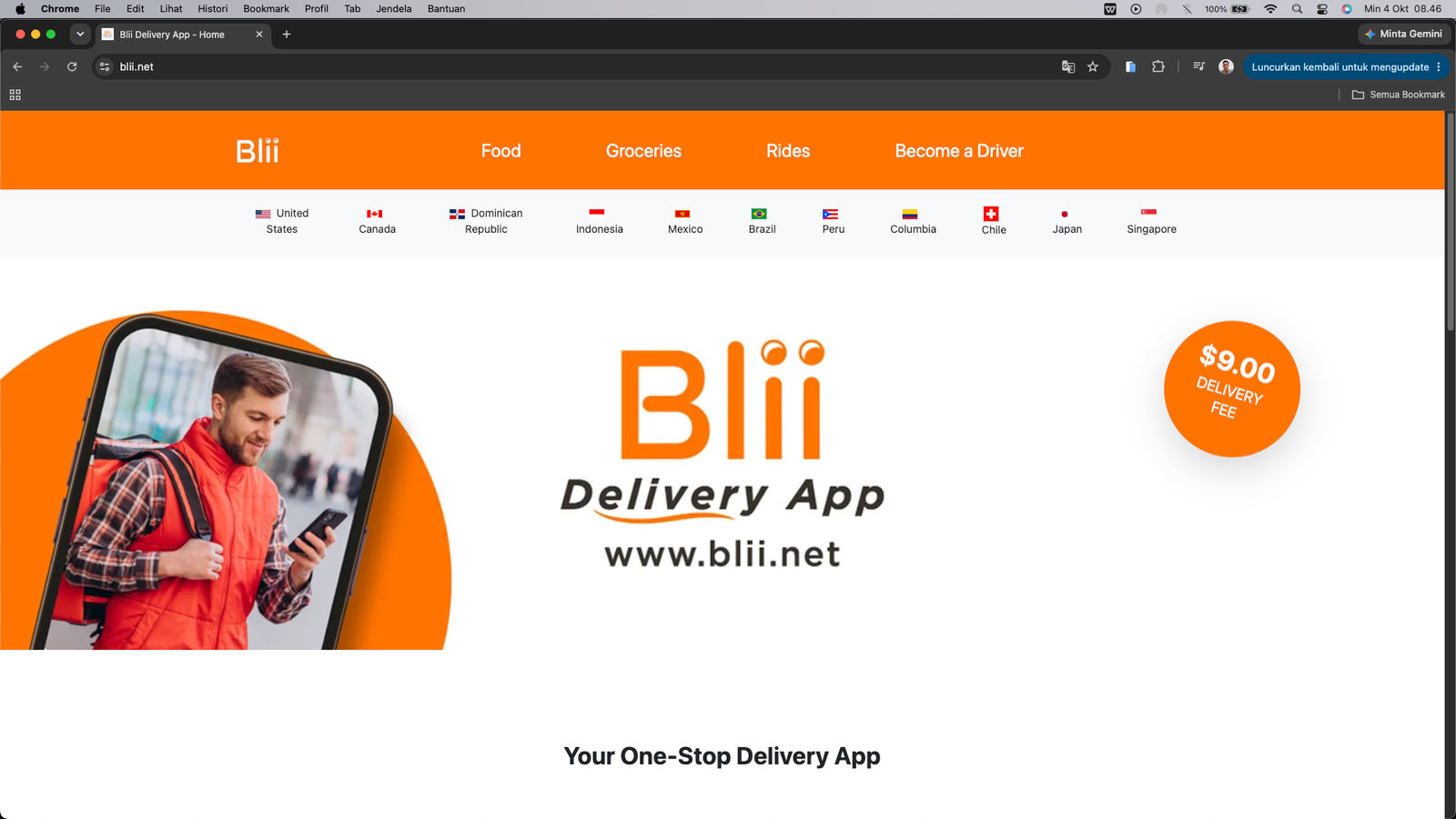 Blii Delivery - Company Profile